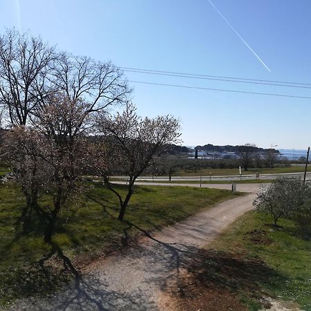 Guesthouse Poreč Eksteriør bilde